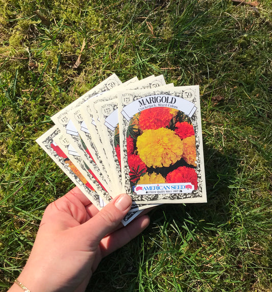 Creating a (my) Dye Garden!