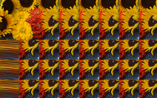 E.N.D. of the World - Sunshine Petals