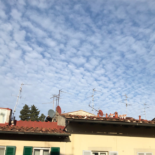 Vintage treasure hunting in Florence, Italy