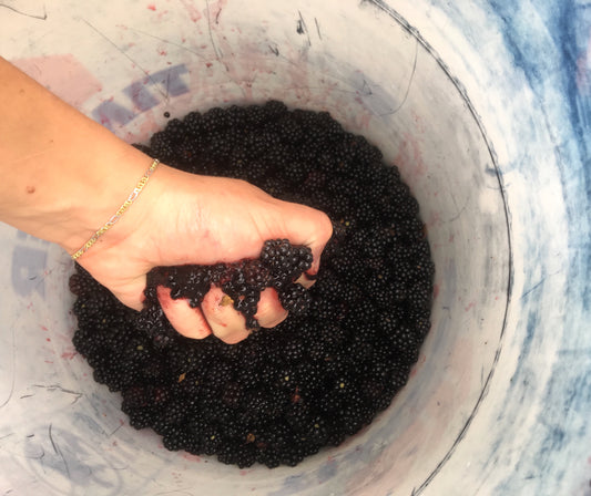 E.N.D. of the World - Cherries and Blackberries